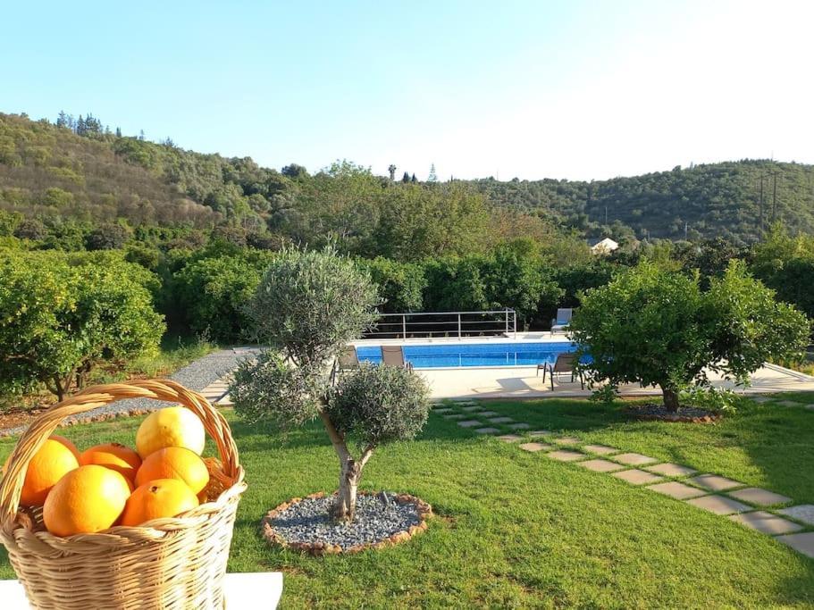 Casa Citrus Limao - Between The Hills & The Ocean Silves Zewnętrze zdjęcie